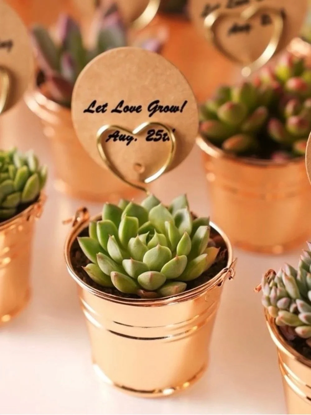 Set of 5 Gold Metal Bucket Favors with 5 Tags.